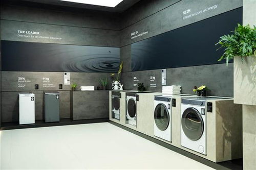 海尔洗衣机在欧洲市场实现量额双第一，中国主流家电品牌崛起势头强劲